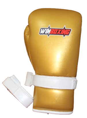 WBS-Z012