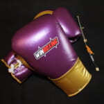 WBG-H003