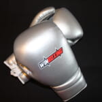 WBG-H006