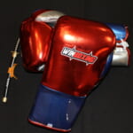 WBG-H001