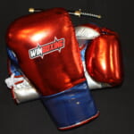 WBG-H001